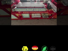 T8 लाइनर विरोधी जंग स्टेनलेस स्टील Grp विस्फोट प्रूफ फ्लोरोसेंट लैंप एकल ट्यूब