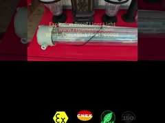 T8 लाइनर विरोधी जंग स्टेनलेस स्टील Grp विस्फोट प्रूफ फ्लोरोसेंट लैंप एकल ट्यूब