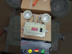 अग्निरोधी आपातकालीन प्रकाश