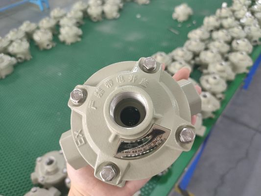 केबल विनिर्देश 9 मिमी 13 मिमी विस्फोट प्रूफ स्विच समुद्री ग्रेड एल्यूमीनियम 10 ए वर्तमान औद्योगिक नियंत्रण स्विच खतरनाक क्षेत्रों के लिए