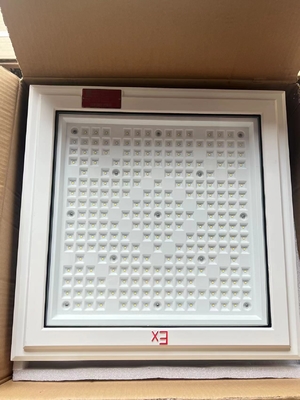 CREE चिप 50W–240W विस्फोट प्रूफ एलईडी फ्लड लाइट खतरनाक स्थान प्रकाश व्यवस्था के लिए IP66 रेटेड