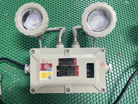 2x3W अग्निरोधक एलईडी आपातकालीन प्रकाश – 90lm/W, खतरनाक क्षेत्रों के लिए IP66 रेटेड