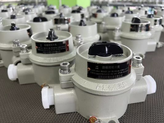 220V / 380V विस्फोट प्रूफ इलेक्ट्रिकल सेलेक्टर स्विच WF2 ग्रे ज़ोन 22 के साथ
