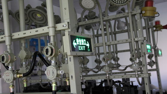 मुकुट अतिरिक्त लौरोधी आपातकालीन प्रकाश 220VAC 24/36VDC ATEX प्रमाणित