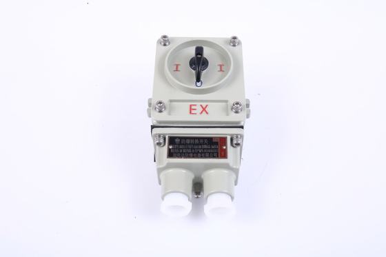 AC220V/380V AC 50/60HZ रेटेड वोल्टेज IEC प्रमाणन और 10A रेटेड करंट के साथ विस्फोट प्रूफ स्विच