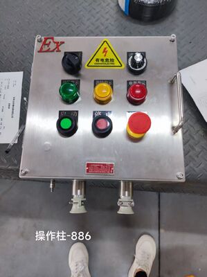 M/G/NPT अनुकूलन योग्य छेद स्टेनलेस स्टील विस्फोट प्रूफ जंक्शन बॉक्स Exd II C T6 Gb Ex-मार्क