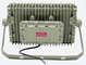 30-150W धमाका प्रूफ एलईडी फ्लड लाइट्स IP66 100-240VAC 50-60Hz WF2 IIC