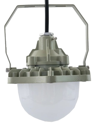 100W विस्फोट प्रूफ हाई बे लाइट AC220V 50/60Hz IP66 70±2CRI के साथ नई डिजाइन बेस्ट सेलिंग उत्पाद मूल्य कार्यशाला