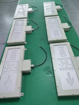 उच्च वोल्टेज विस्फोट-सबूत निकास प्रकाश. OEM आपातकालीन संकेत प्रकाश 90-300VAC / 24VDC / 36VDC. ATEX IECEx अनुमोदित.