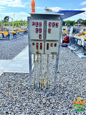 ATEX द्वारा प्रमाणित IP66 WF2 सुरक्षा स्तर के साथ दीवार पर माउंट 2 मिमी विस्फोट प्रूफ लौरोरोक नियंत्रण पैनल