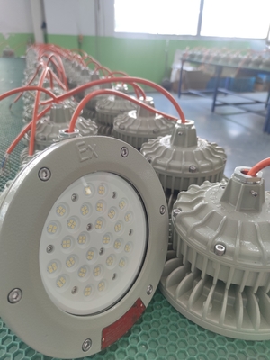200W IP66 विस्फोट प्रूफ हाई बे छत/दीवार/फ्लैंज माउंट