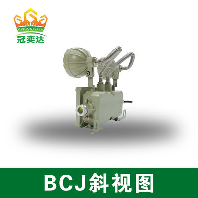 दीवार/छत पर लगने वाली ज्वाला-प्रूफ आपातकालीन लाइट, समुद्री ग्रेड एल्यूमीनियम और 2*3 वाट के साथ