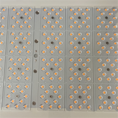 IP66 WF2 सुरक्षा खतरनाक स्थान प्रकाश CCT 5000K