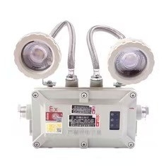 विस्फोट प्रूफ एक्सप्रूफ आपातकालीन प्रकाश 2*3 वाट एलईडी 220VAC 24/36VDC क्षेत्र 1 के लिए 12
