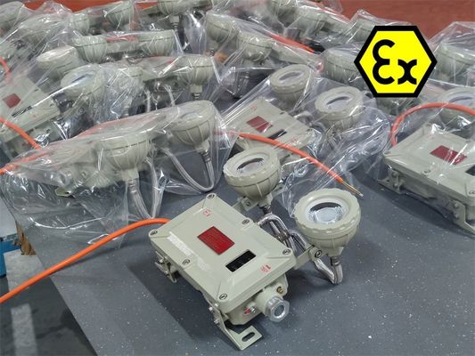 2x5W IP65 विस्फोट प्रूफ एलईडी आपातकालीन लाइट - खतरनाक क्षेत्रों के लिए रिचार्जेबल