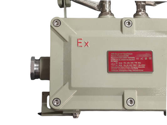 विस्फोट प्रूफ आपातकालीन लाइट ️ दीवार और छत पर घुड़सवार ∙ ATEX/IECEx प्रमाणित तेल और गैस, रासायनिक और खनन साइटों के लिए