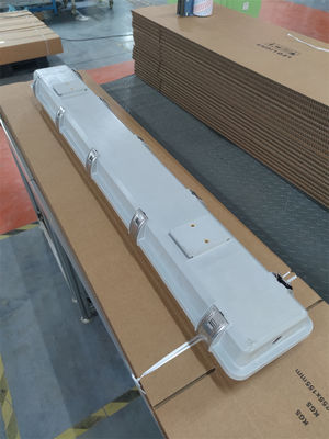 स्टेनलेस स्टील एक्सप्लोजन प्रूफ फ्लोरोसेंट लाइट – 590 मिमी से 6 फीट फ्लेमप्रूफ इमरजेंसी लैंप खतरनाक क्षेत्रों के लिए