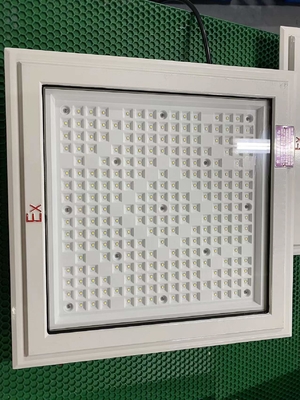 विस्फोट प्रूफ एलईडी फ्लड लाइट के साथ दीपक मोती CREE और 50-240Watt श्रेणी
