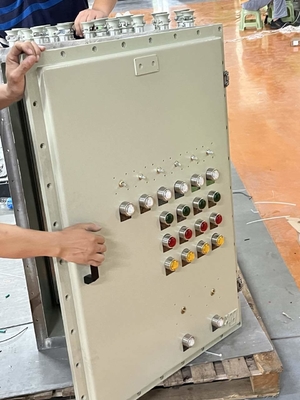 ATEX CNEX CXM सीरीज़ ज्वाला-प्रूफ लाइटिंग डिस्ट्रीब्यूशन बॉक्स Ex D IIC IP66 एल्यूमिनियम खतरनाक क्षेत्रों के लिए आदर्श