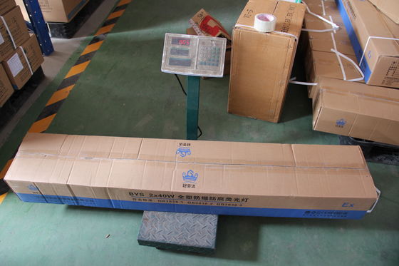 ATEX/IECEx/CNEX विस्फोट प्रूफ रैखिक एलईडी लाइट – खतरनाक स्थानों के लिए औद्योगिक ग्रेड लाइटिंग, ऊर्जा कुशल, IP66, कस्टम पावर और रंग तापमान विकल्प