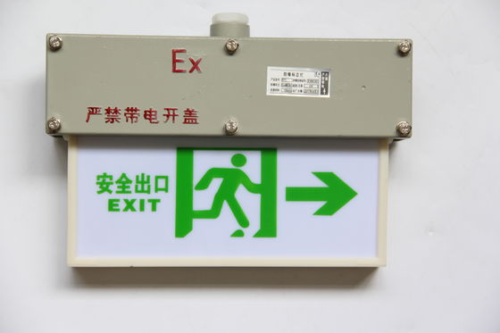 WF1 Corrosion Resistant Flameproof Emergency Light with Customised Surface Pattern IP65 Degree
