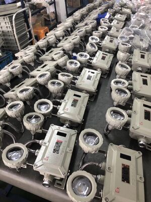 ATEX Explosion-proof LED Emergency Light 220VAC 50HZ 24VDC IP66 Explosion-proof Lamp Double Head