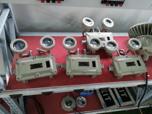 विस्फोट प्रूफ डबल-हेडेड एल्यूमिनियम अलॉय शेल इमरजेंसी लाइट 220VAC/24VDC सुरक्षा IP66 LED लाइट