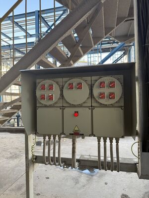 संक्षारण प्रतिरोध IP 65 380V विद्युत ज्वालारोधक नियंत्रण पैनल विस्फोट प्रूफ ब्रेकर पैनल कैबिनेट