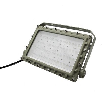 खतरनाक वातावरण के लिए डिज़ाइन की गई OEM विस्फोट-रोधी LED फ्लड लाइट CRI Ra80 IP66 WF2 सुरक्षा औद्योगिक प्रकाश व्यवस्था