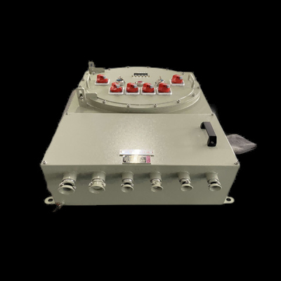 AC220V/380V वोल्टेज के साथ दीवार पर घुड़सवार बॉक्स पैनल विस्फोट प्रूफ